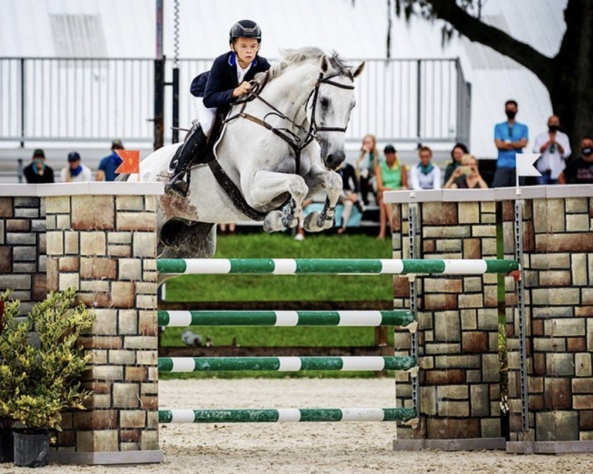 Cavallo da salto Cascal E (Renano, 2008, di Cassini Boy Junior)