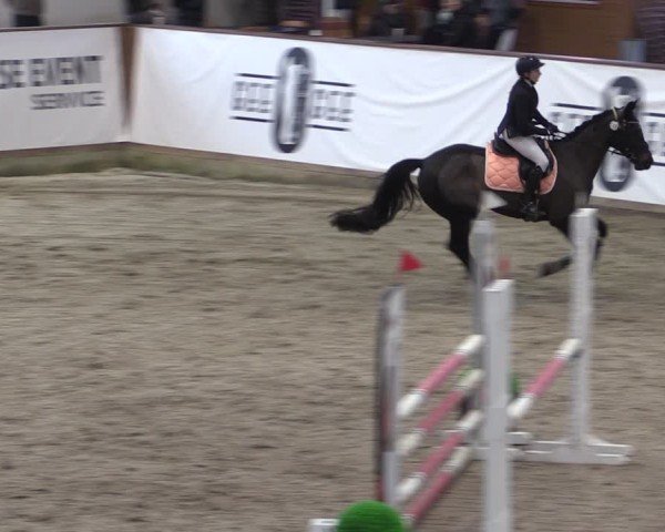 Reitturnier Prussendorf 2025