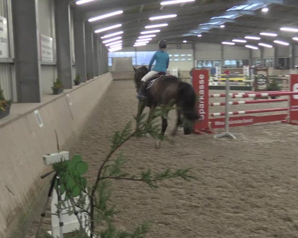 Reitturnier Ahaus 2021