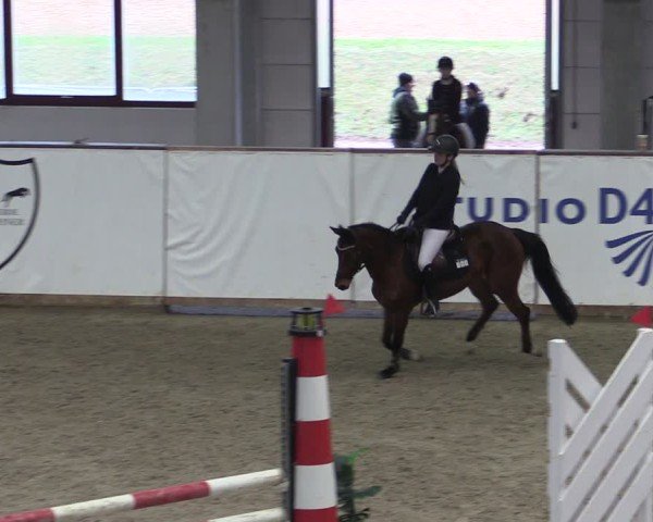 Reitturnier Prussendorf 2025