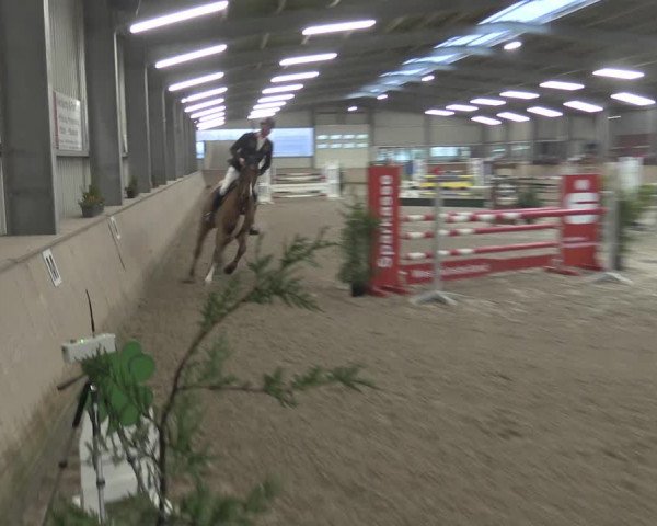 Reitturnier Ahaus 2021