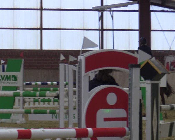 Reitturnier Ostenfelde-Vornholz 2025