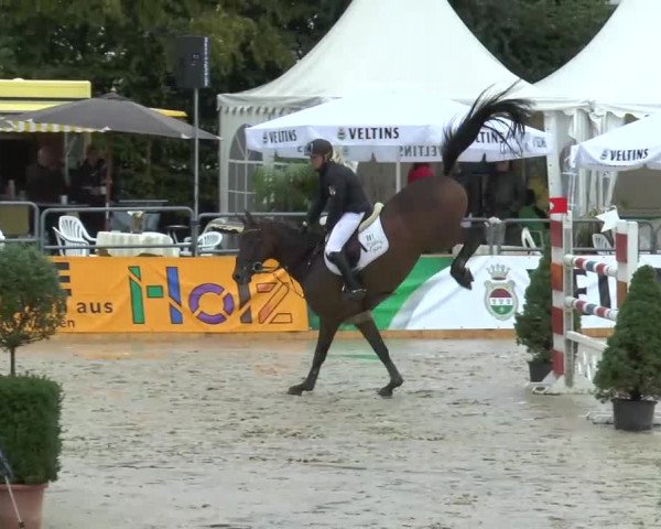 Voßwinkeler Reitertage 2013