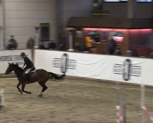 Reitturnier Prussendorf 2025