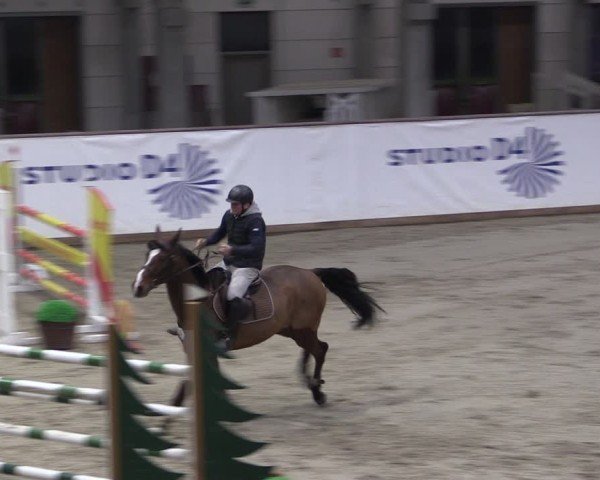 Reitturnier Prussendorf 2025