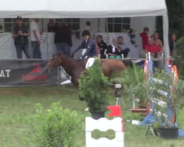 Radolfzell 2013 - Reit- und Springturnier des RC Bodenseereiter