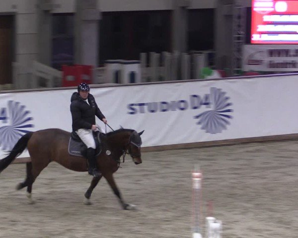Reitturnier Prussendorf 2025