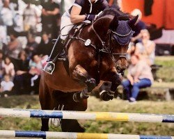 jumper Landlust 5 (Oldenburg show jumper, 2011, from Askari)