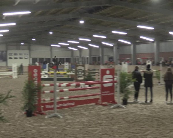 Reitturnier Ahaus 2021