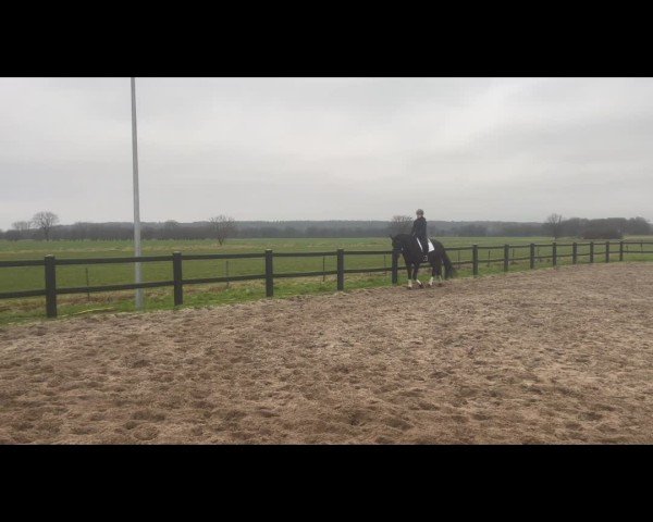 Video of Fantastico S