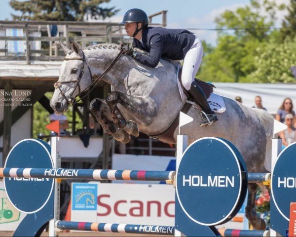 jumper Chupa Chups Ar (Swedish Warmblood, 2014, from Corporal VDL)
