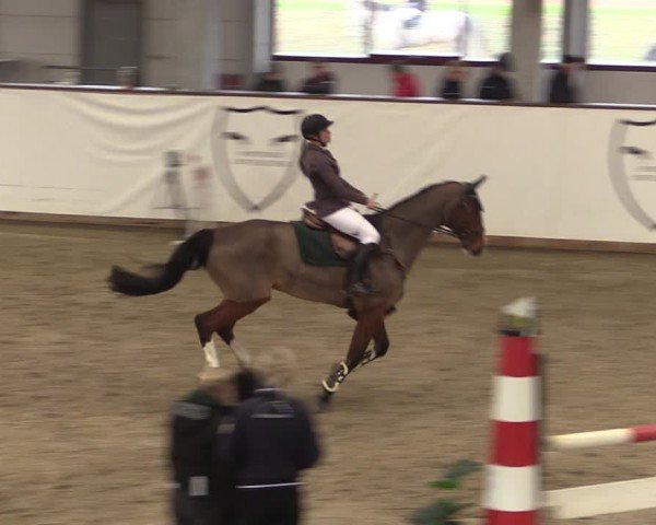 Reitturnier Prussendorf 2025