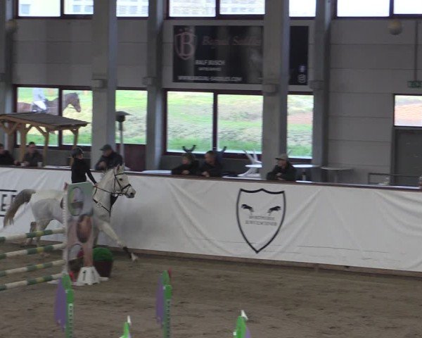 Reitturnier Prussendorf 2025