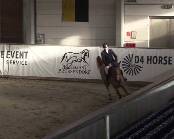 Reitturnier Prussendorf 2025