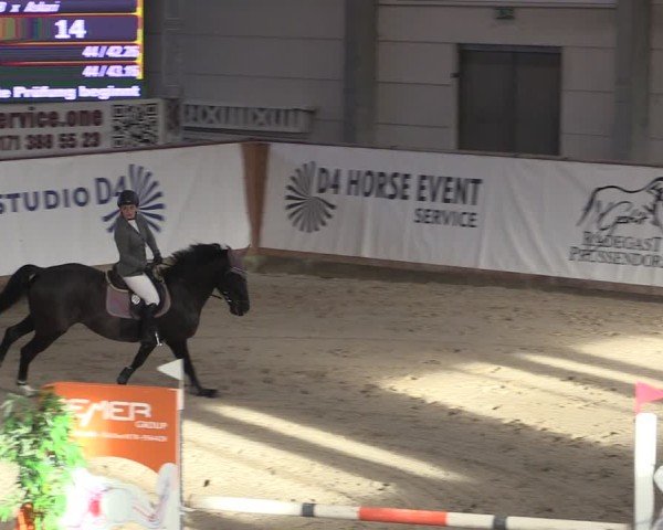 Reitturnier Prussendorf 2025