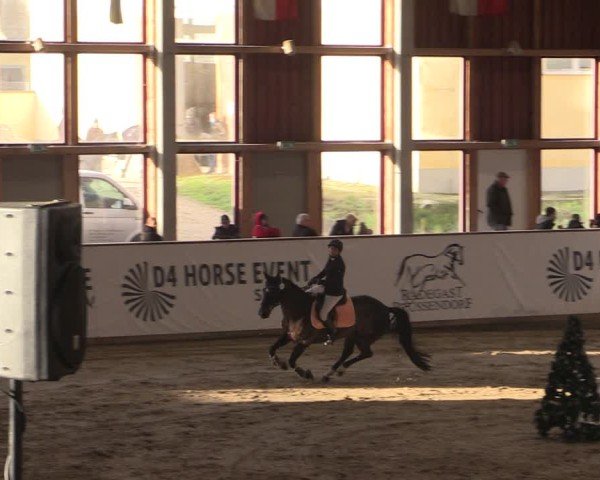 Reitturnier Prussendorf 2025