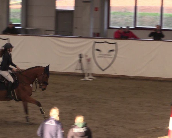 Reitturnier Prussendorf 2025