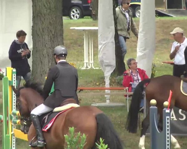 Radolfzell 2013 - Reit- und Springturnier des RC Bodenseereiter