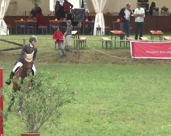 Radolfzell 2013 - Reit- und Springturnier des RC Bodenseereiter