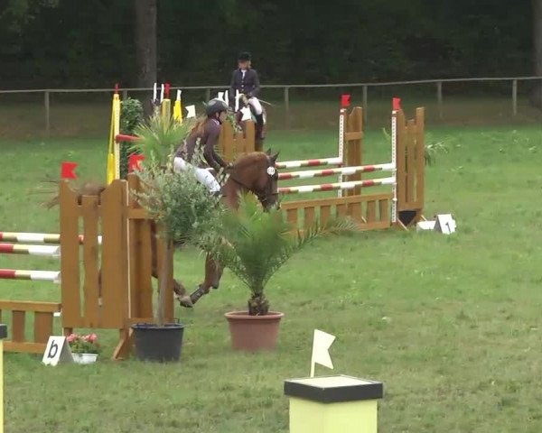 Radolfzell 2013 - Reit- und Springturnier des RC Bodenseereiter
