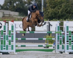 jumper Comtado (Holsteiner, 2017, from Comme il Faut)