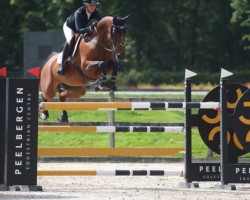jumper Chaccolina 9 (Hanoverian, 2016, from Chacco Chacco)