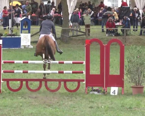 Radolfzell 2013 - Reit- und Springturnier des RC Bodenseereiter