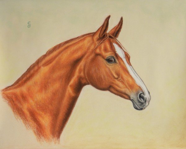 Pferd Ruby Kaia (Bayer, 2003)
