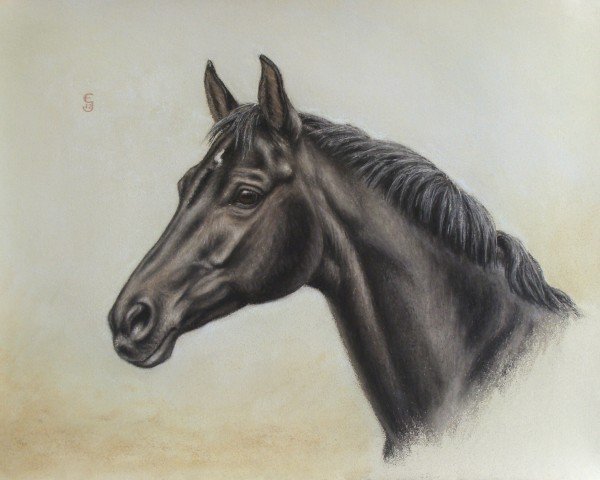 jumper Atlanta Al Martino CH (Swiss Warmblood, 2005, from Al Martino)