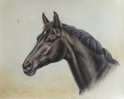jumper Atlanta Al Martino CH (Swiss Warmblood, 2005, from Al Martino)