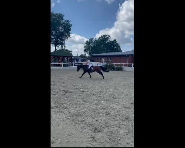 Video of Sammy