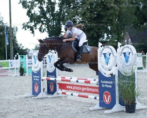 jumper Sammy (Hanoverian, 2007, from Stalypso)