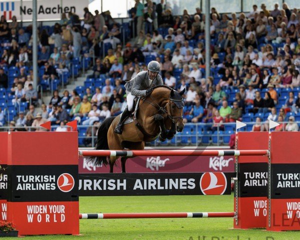 jumper Kate Slottie (KWPN (Royal Dutch Sporthorse), 2015, from Etoulon VDL)