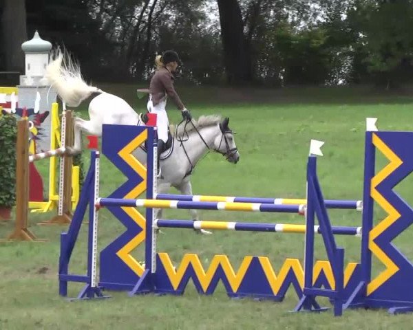 Radolfzell 2013 - Reit- und Springturnier des RC Bodenseereiter