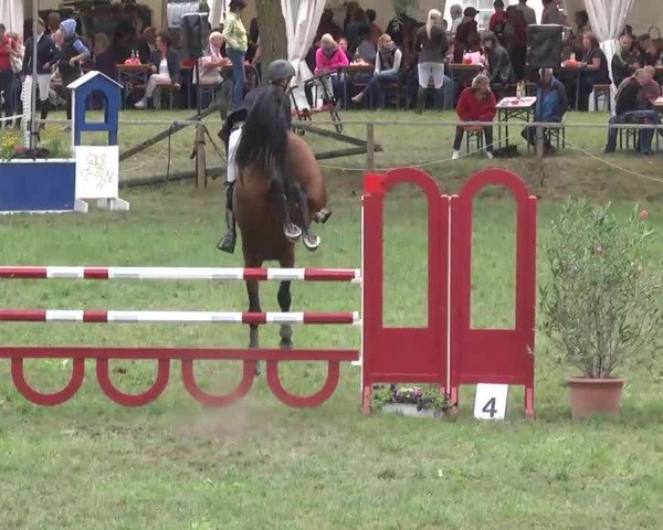 Radolfzell 2013 - Reit- und Springturnier des RC Bodenseereiter