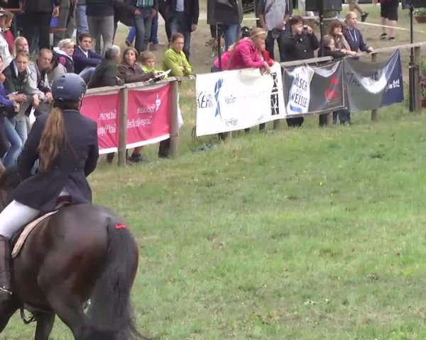 Radolfzell 2013 - Reit- und Springturnier des RC Bodenseereiter