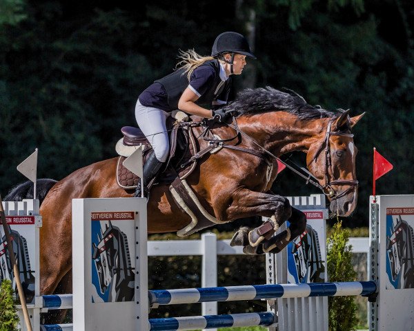 dressage horse Maestro des Baumes (Swiss Warmblood, 2005, from Wandango)