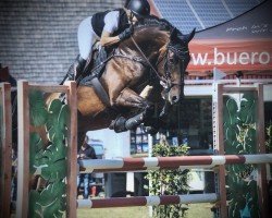 broodmare Charlotte Flink (Holsteiner, 2013, from Centurion)
