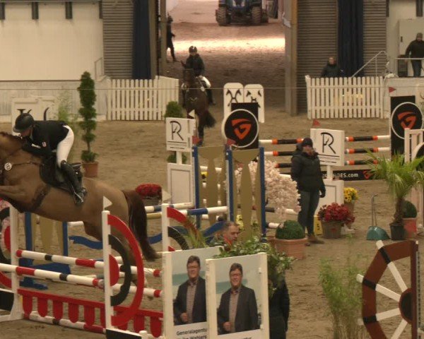 Reitturnier Verden 2025