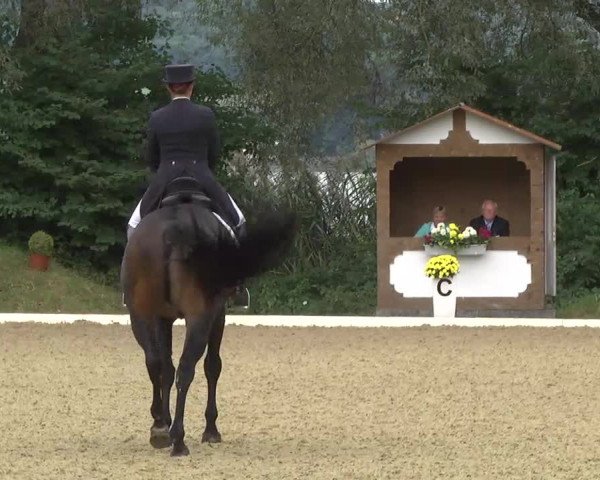 Radolfzell 2013 - Reit- und Springturnier des RC Bodenseereiter