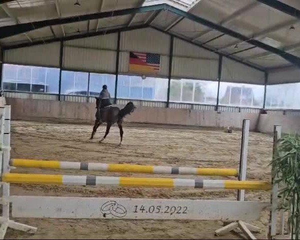 Video of Einzigartige