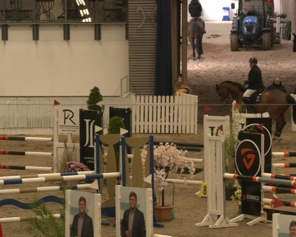 Reitturnier Verden 2025