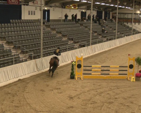 Reitturnier Verden 2025