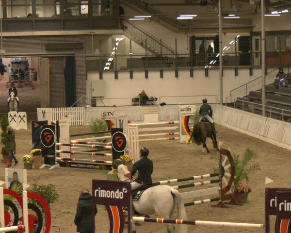 Reitturnier Verden 2025