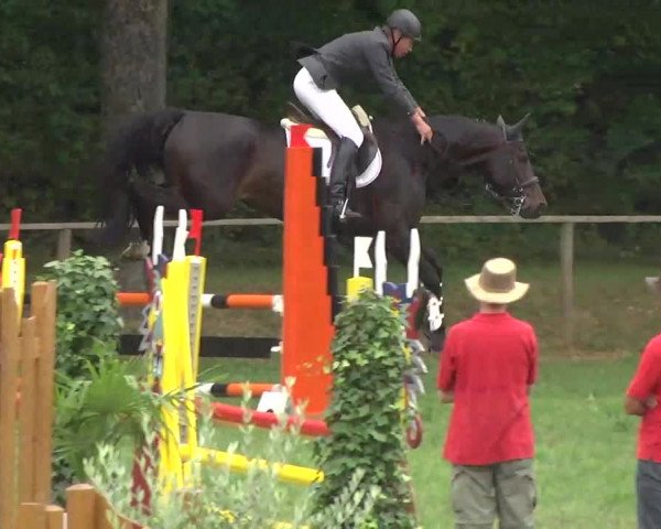 Radolfzell 2013 - Reit- und Springturnier des RC Bodenseereiter