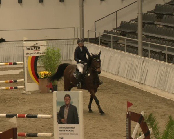 Reitturnier Verden 2025