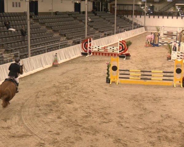 Reitturnier Verden 2025