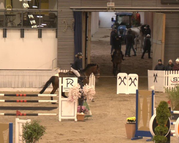 Reitturnier Verden 2025