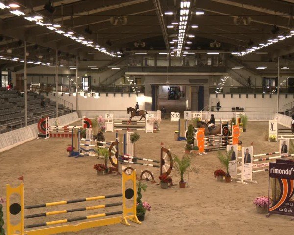 Reitturnier Verden 2025