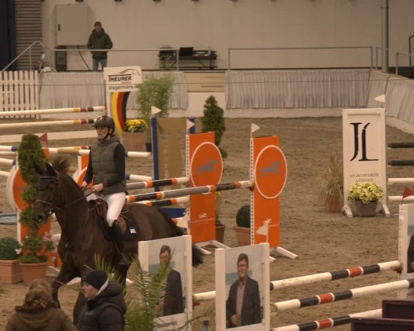 Reitturnier Verden 2025
